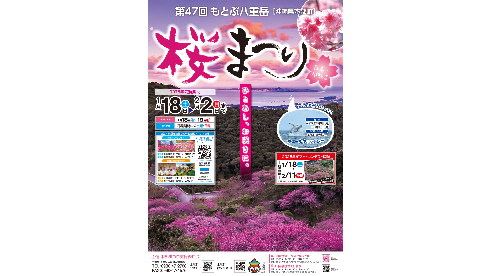 桜まつり　開催します！